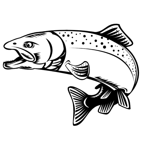 Salmon