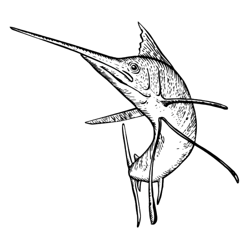 Swordfish
